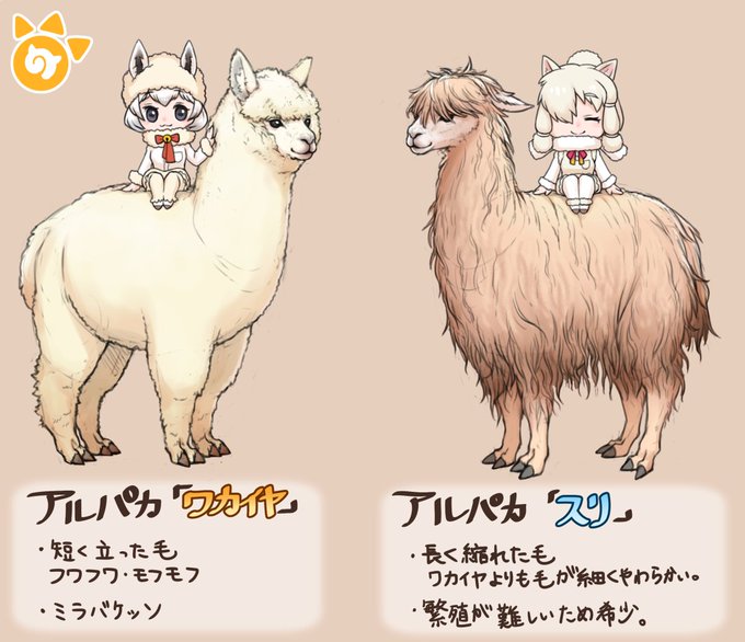 アルパカのtwitterイラスト検索結果 古い順 アルパカのtwitterイラスト検索結果 古い順