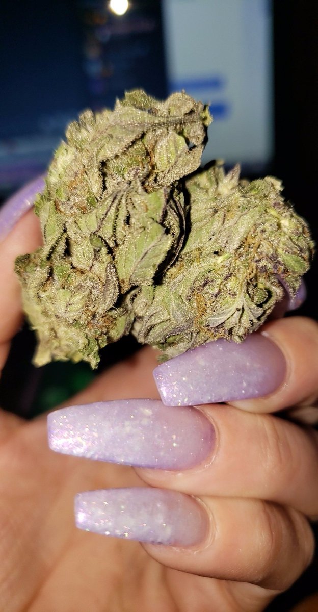 plugdrug720's tweet photo. livraison partout en France contacter moi via Snapchat:plugdrug_josue wickr:plugdrug720

 #franceweed #weedinfrance 
#weedparis #parisweed #weed #kiffer #toureiffelparis #parishotel 
#francehotel #hoteldeville #marijuanafrance 
#touristesàparis #Maryland #nanterre #paris16 https://t.co/joC5FsAhND