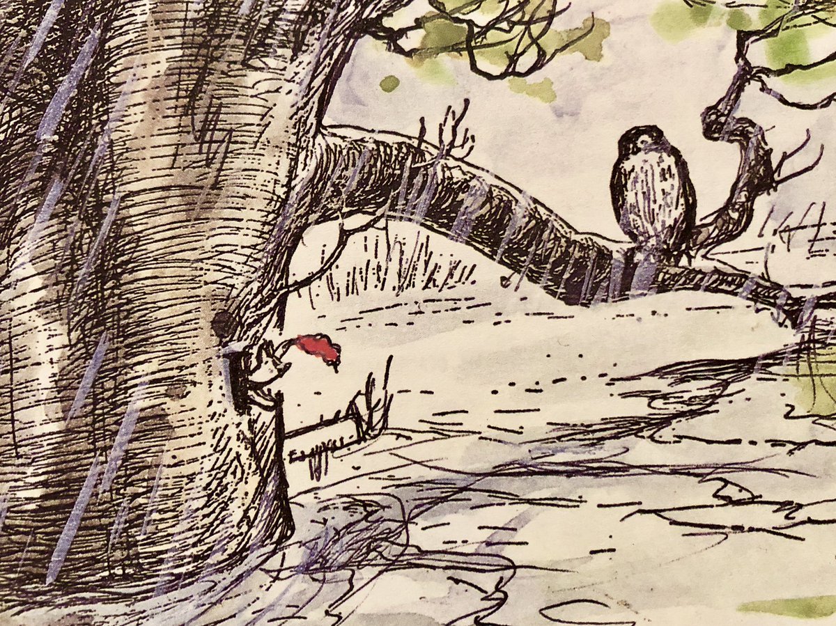 “The atmospheric conditions have been very unfavourable lately,” said Owl.
“The what?”
“It has been raining,” explained Owl.
“Yes, it has.”
“The flood-level has reached an unprecedented height.”
“The who?”
“There’s a lot of water about,” explained Owl. ~A.A.Milne #SundayThoughts