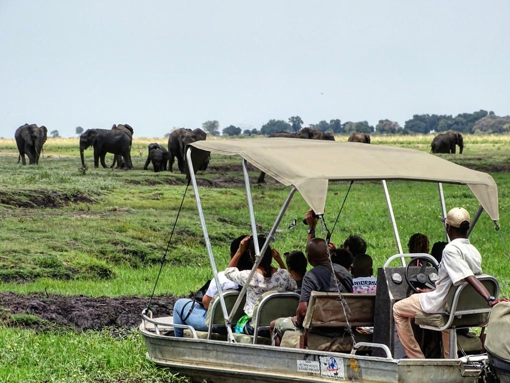 Wanderlust Campers on Twitter "View the abundant wildlife of the Chobe