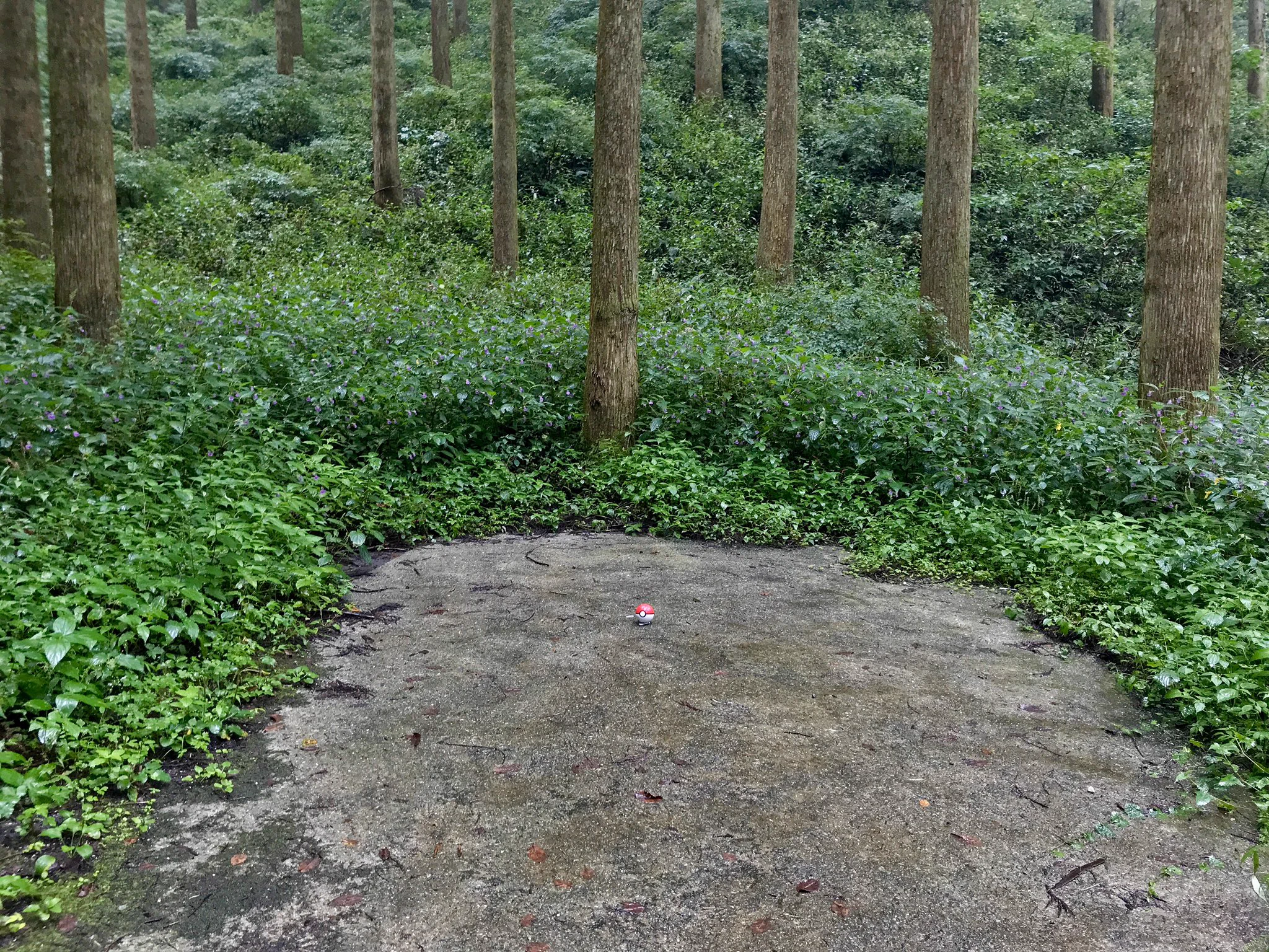 @yo_yo_mr たまに変なところに落ちてますよね
(同じことやってる同士が居てちょっと感動) 