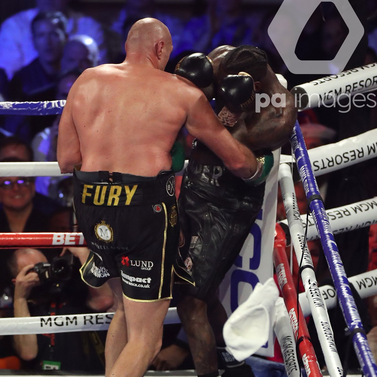 Alamy Editorial tweet media