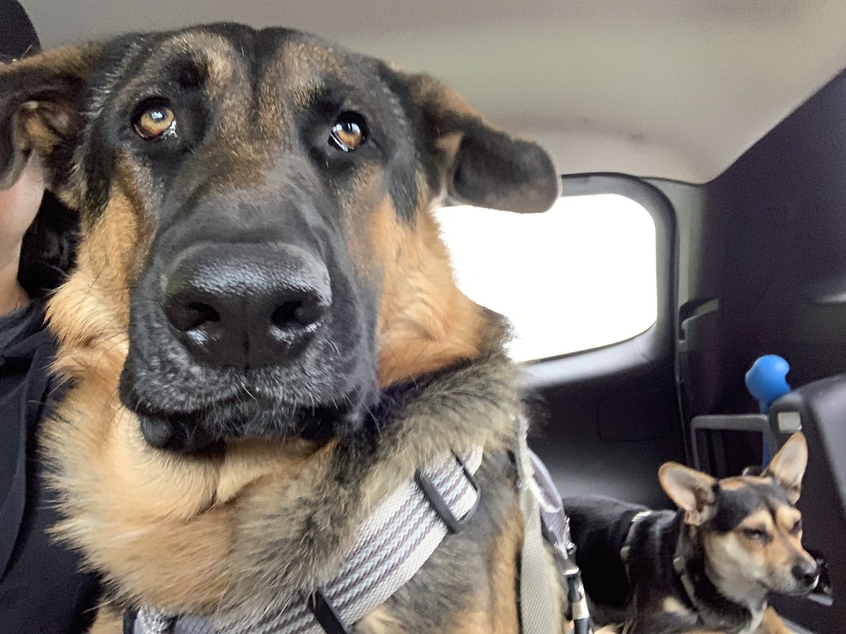 B0071331664's tweet image. ((KBC mascots? Yay? Or yay? Or YAY))