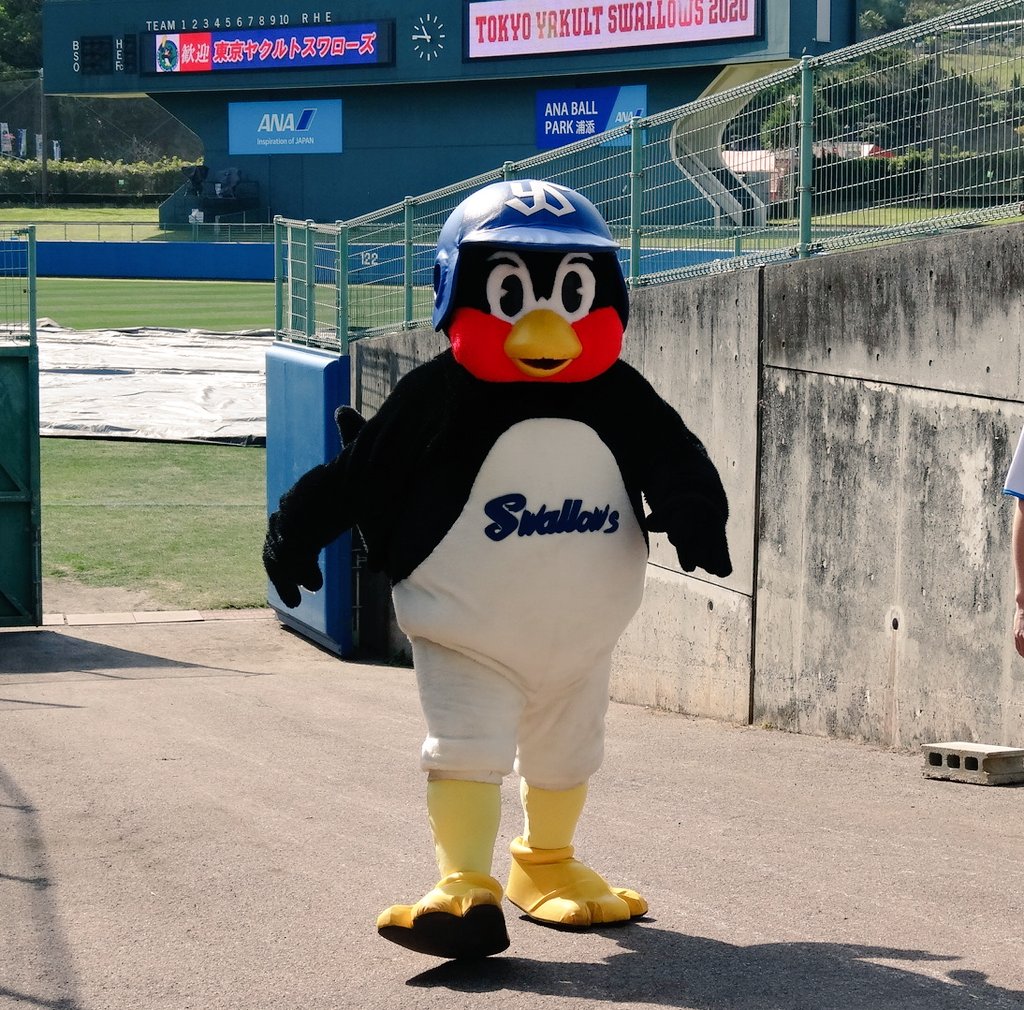 27__mi_'s tweet photo. つば九郎

#swallows #つば九郎 #沖縄 #浦添キャンプ https://t.co/EJ7aJfoP6f