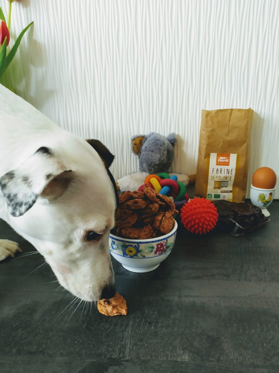 Geeketpaillette's tweet photo. friandises pour chiens naturelles https://t.co/N14x6RhNaW https://t.co/60B0lopHyM