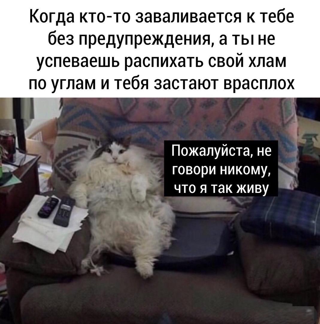 sekavn's tweet photo. Как они смогли зайти, если когда я дома - дома никого нет https://t.co/hxX3nDuzbr