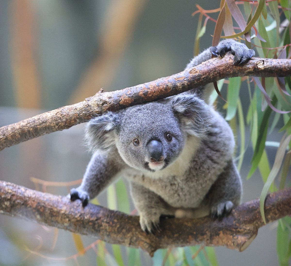 話 は 聞かせ て もらっ た