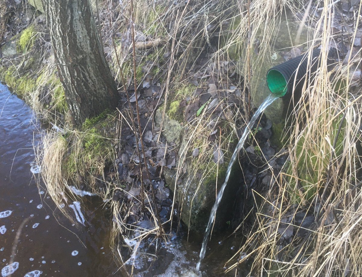 Salaojista tulee vettä, laskiaisunnuntaina 23.2.2020.