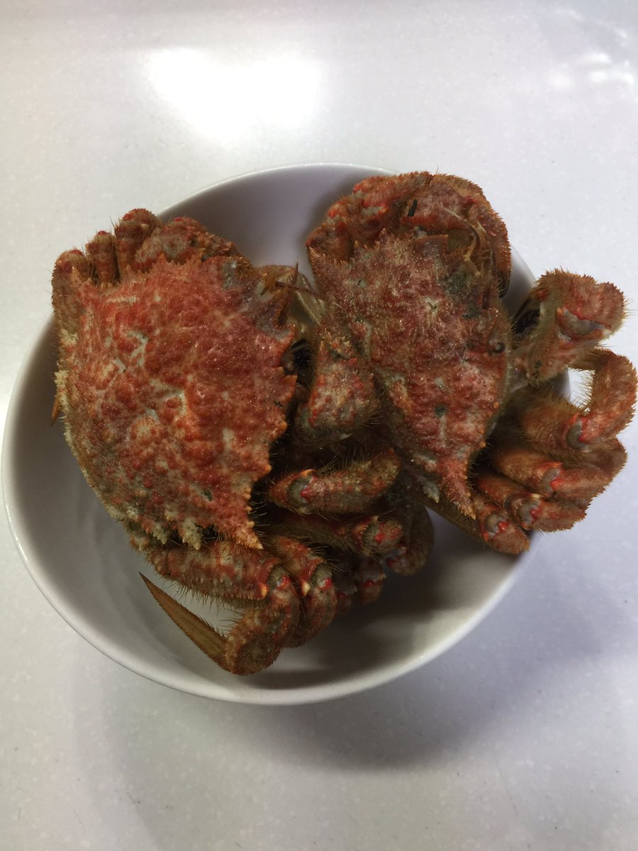 Etiqueta ヘビー級タイトルマッチ Al Twitter Etiqueta ヘビー級タイトルマッチ Al Twitter