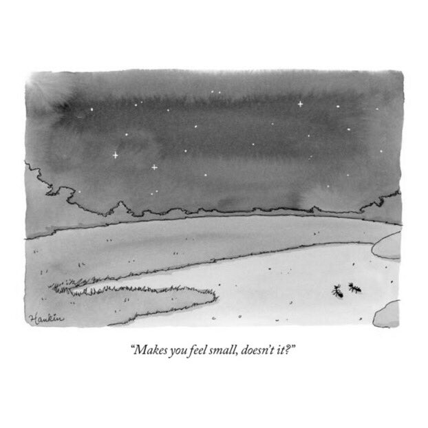 Elenalaion's tweet photo. Maravilloso @NewYorker https://t.co/kEUFu54lTm