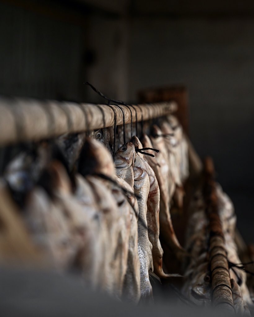 Moody morning menu planning that includes two dippy eggs and a grating of umami flavour into my breakfast butter.