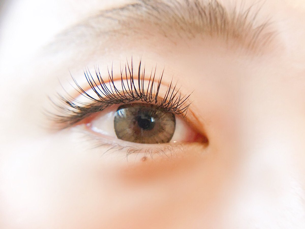 Mil Eyelash Mil Eyelash Twitter Mil Eyelash Mil Eyelash Twitter