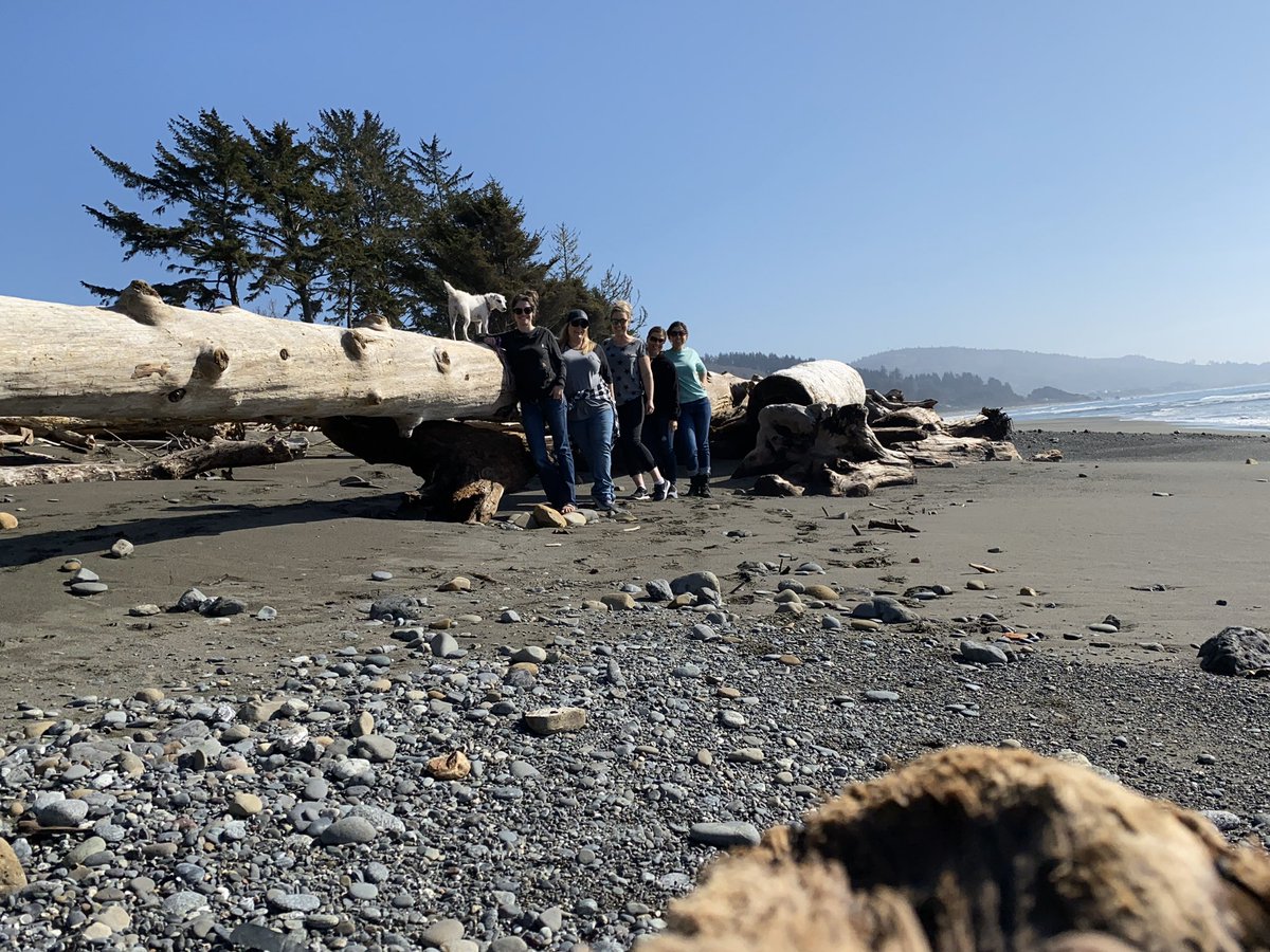 TashaHardy's tweet photo. Awesome day at the coast 🥰 #364daysofme #oregoncoast #girlstrip #pnw #brookingsoregon https://t.co/oke5fwblaP