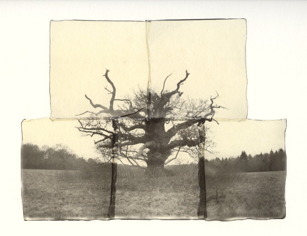 JoeARWright's tweet image. Polaroid lifts

Sneak peak for an upcoming @inside_the_out exhibition 

Details to follow soon

#polaroid #polaroidlift #oak