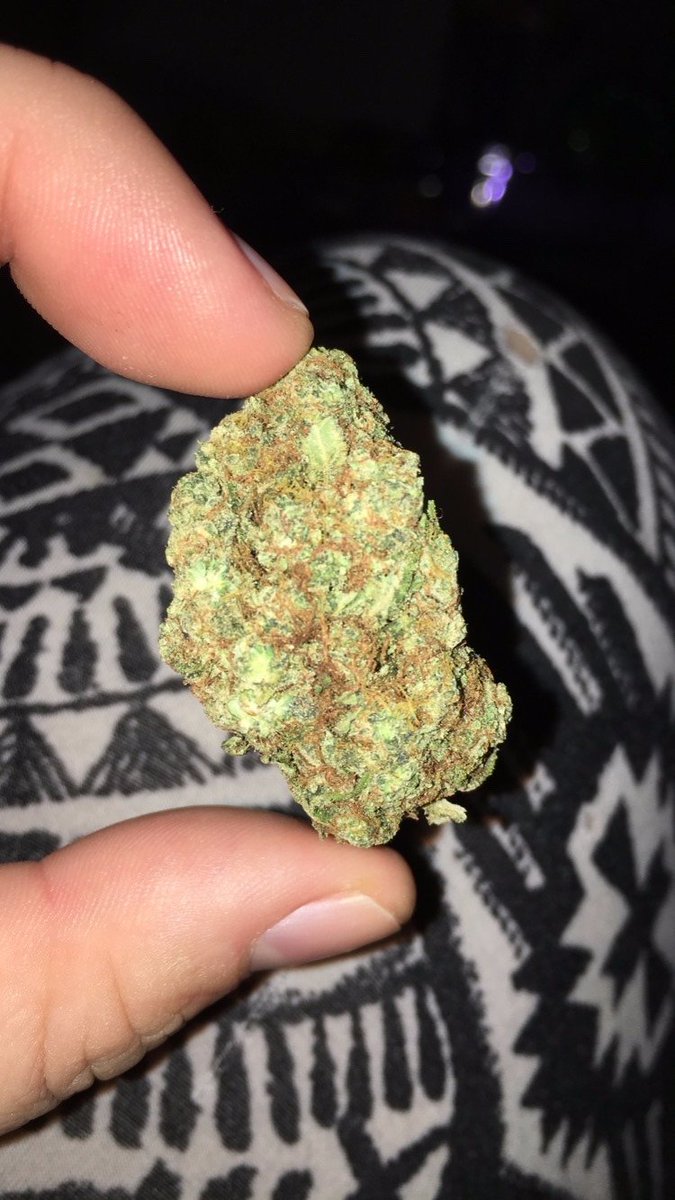 plugdrug720's tweet photo. livraison partout en France contacter moi via Snapchat:plugdrug_josue wickr:plugdrug720 #franceweed #weedinfrance #weedparis #parisweed #weed #kiffer #toureiffelparis #parishotel #francehotel #hoteldeville #marijuanafrance #touristesàparis #Maryland #nanterre https://t.co/c0J0XAVCEM