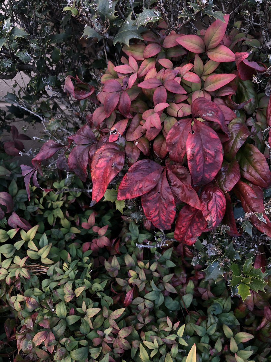 季節は次々死んでゆく