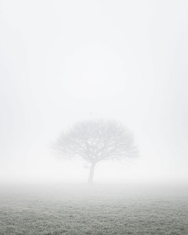 Simone Wittgen tweet media