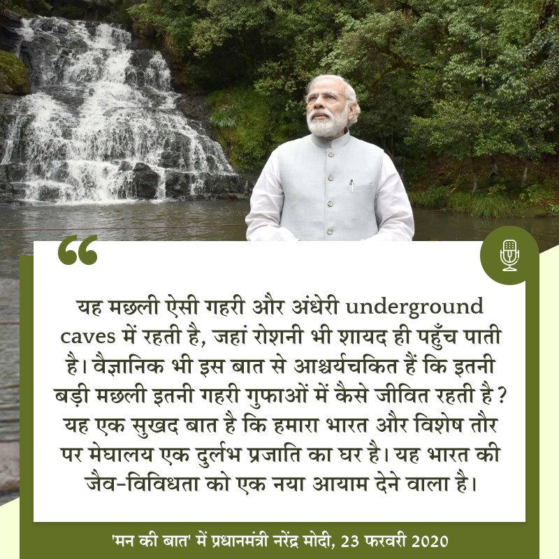 Rao_InderjitS's tweet photo. #COPConvention पर हो रही इस चर्चा के बीच मेरा ध्यान मेघालय से जुडी एक अहम् जानकारी पर भी गया। हाल ही में Biologists ने मछली की एक ऐसी नई प्रजाति की खोज की है, जो केवल मेघालय में गुफाओं के अन्दर पाई जाती है~ प्रधानमंत्री श्री @narendramodi #MannKiBaat https://t.co/f9MYuZrxYl
