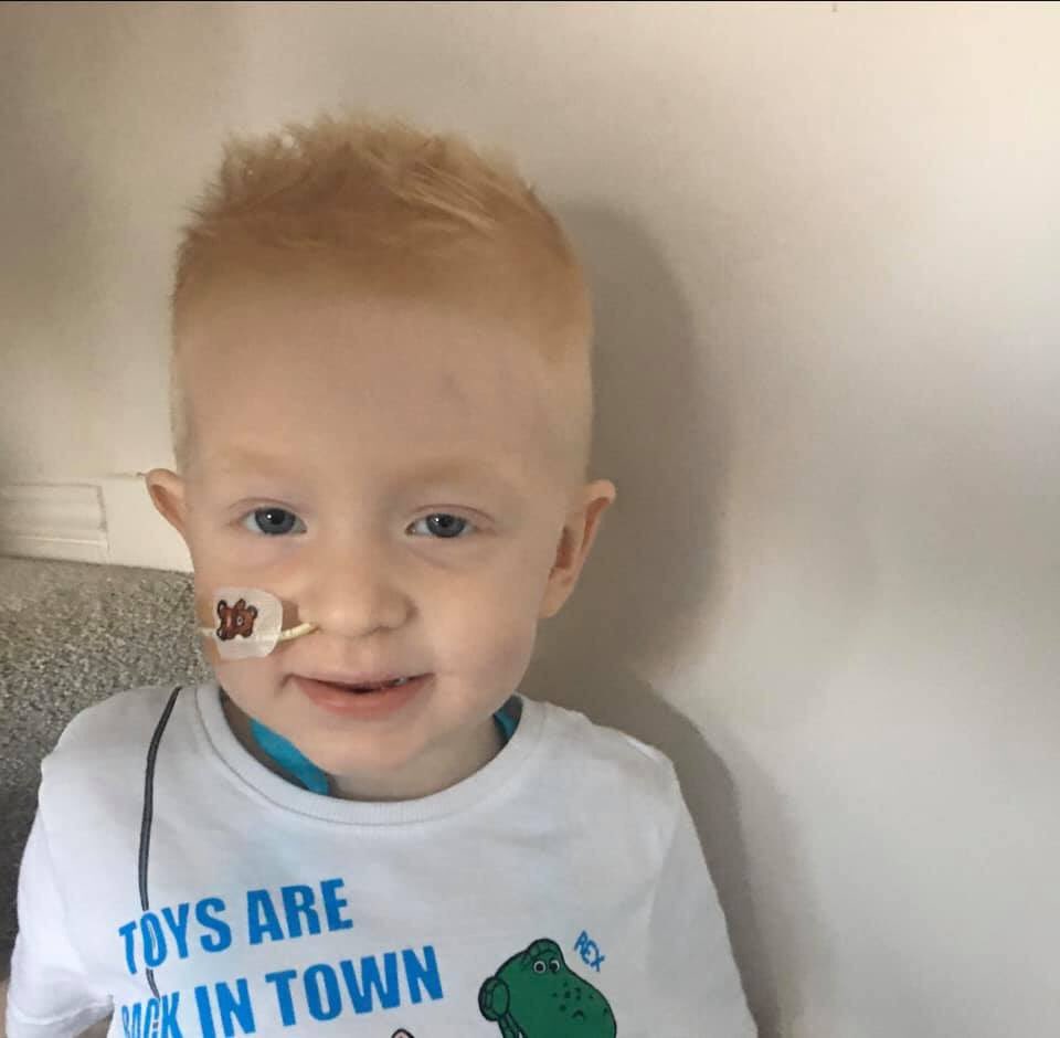 five_ollie's tweet photo. 🎉🎈HAPPY BIRTHDAY OLLIE! 🎈🎉

Happy 3rd birthday to the main man himself! 

A quick trip to Addenbrookes today for a review but will be back home to celebrate at home with family and plenty of chocolate cake! 🍰 😋 

Have a good one, Cat Boy! https://t.co/ovzeoFILHR