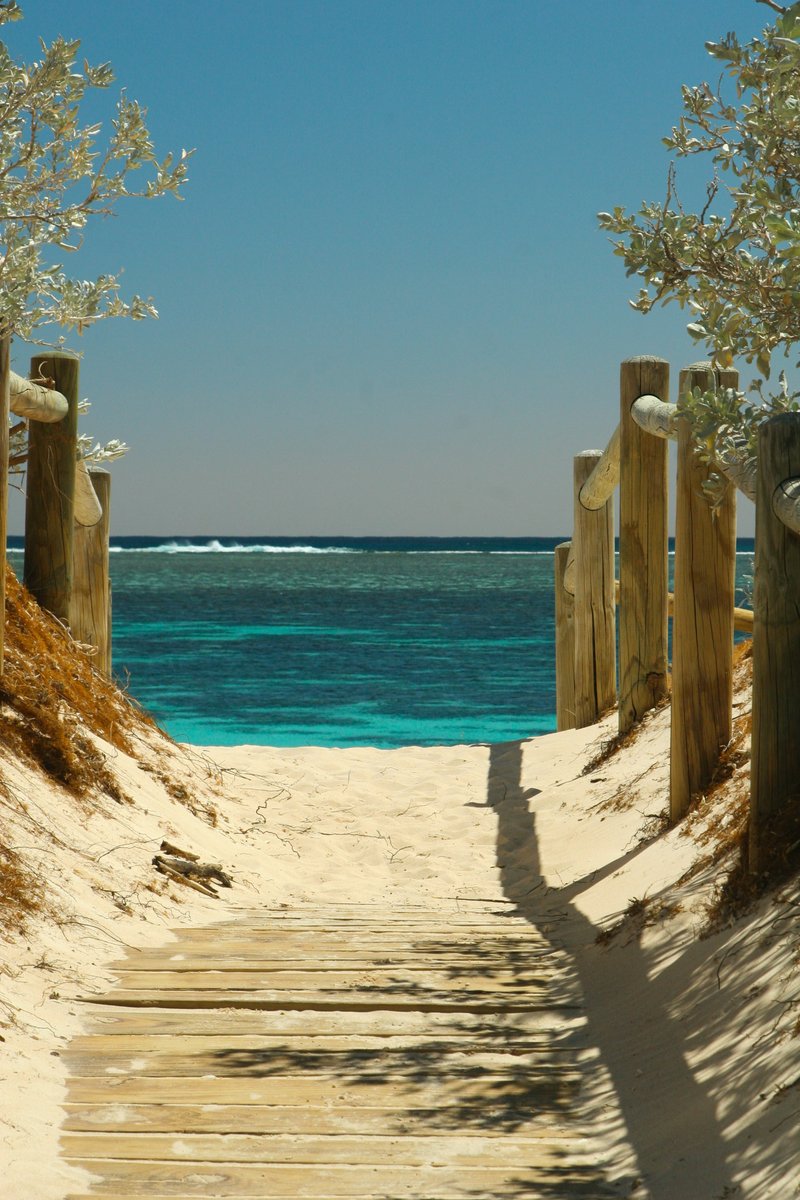 Your pathway to the beach

For more luxury, travel and hotel content, follow us and visit the website!

#pathtothebeach #beachgram #creatingmemories #beachpath #beachevenings #reminiscing #bluewaters #travelgram #beachaccess #tothebeach #beachentry

soo.nr/uvpR