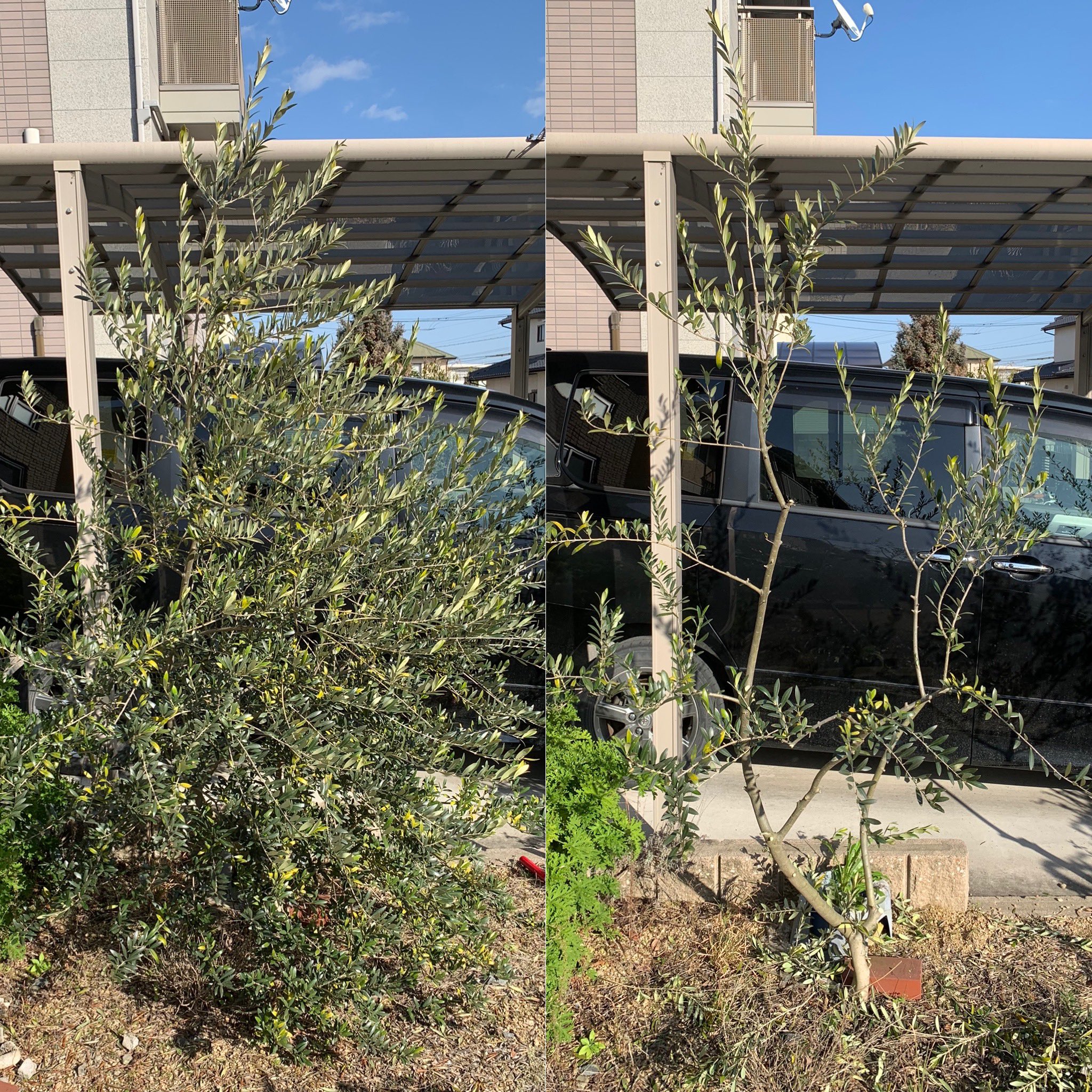 Overpruning Twitter Search Twitter