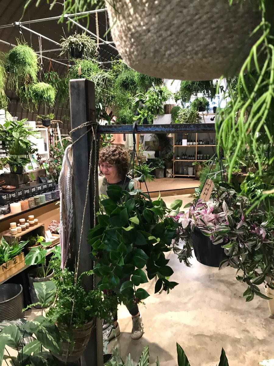 Alice from <a href="/Forest_london/">Forest</a> the plant shop across the way is going to do plant workshops in the shop. Come to the party and we will take you over.
She's hiding behind the plants cos she doesn't like photos 
<a href="/TheAlbanySE8/">Albany Deptford</a> <a href="/HereandNow2020/">Here and Now Project</a> 
#hereandnow2020
thealbany.org.uk/shows/a-party-…