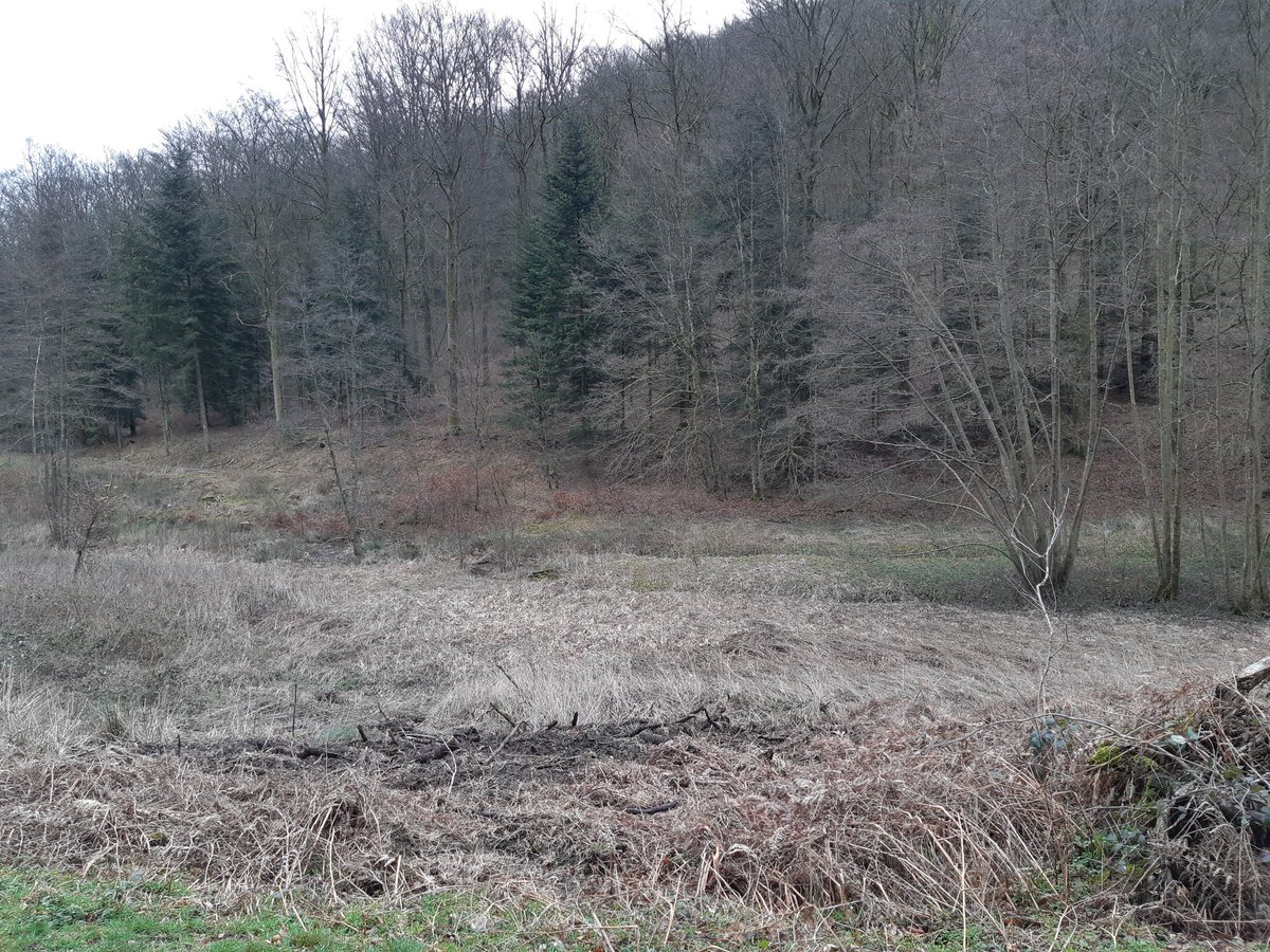 RVHunter57's tweet photo. 1/n
#Battue #sanglier #renard 

Massif des #Vosges, à la limite de l'#Alsace 

C'est parti pour une série de petites #traques jusqu'à 15h30 🤷‍♂️

15 postés 😁 

#convivialité #amitié #chasse #ruralité #biodiversité 
 
#RETEX pour la dernière de la #saison

#IlsSachentNousChassons https://t.co/gh101V7Tzn