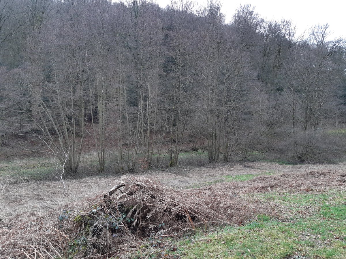 RVHunter57's tweet photo. 1/n
#Battue #sanglier #renard 

Massif des #Vosges, à la limite de l'#Alsace 

C'est parti pour une série de petites #traques jusqu'à 15h30 🤷‍♂️

15 postés 😁 

#convivialité #amitié #chasse #ruralité #biodiversité 
 
#RETEX pour la dernière de la #saison

#IlsSachentNousChassons https://t.co/gh101V7Tzn