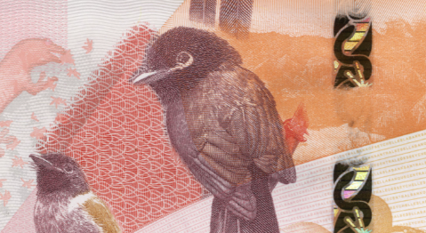 DeLaRuePlc's tweet photo. The bird in this picture is the Black Paradise Flycatcher and the thread is Kinetic StarChrome. It is part of a new series of banknotes issued in 2016 that celebrated the unique biodiversity of the country. Can you #NameThisBanknote? https://t.co/5hNgTMeTtV