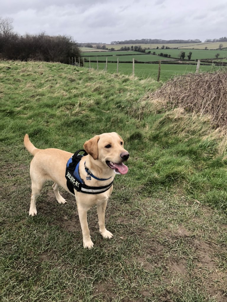 And breathe.

A breath of fresh air in the country this weekend 🌳🥾

Even though #Bath isn’t a massive city, it’s nice to get away to fully immerse ourselves in countryside life 😌 #SundayThoughts #WoodysThoughts 🐾