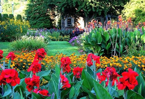 AmericanLandInc's tweet photo. Plan your landscape now! 
American Landscaping Inc. can help you plan your space

✔️Spring Clean up &amp; mulching
✔️Planting
✔️Fertilizer
✔️Organic &amp; non-organic crabgrass &amp; weed control

(301) 384-4486
https://t.co/u7BzTLHfLw

#Maryland #landcaper #yardcleanup #fertilizer https://t.co/aE80gHZ0wm