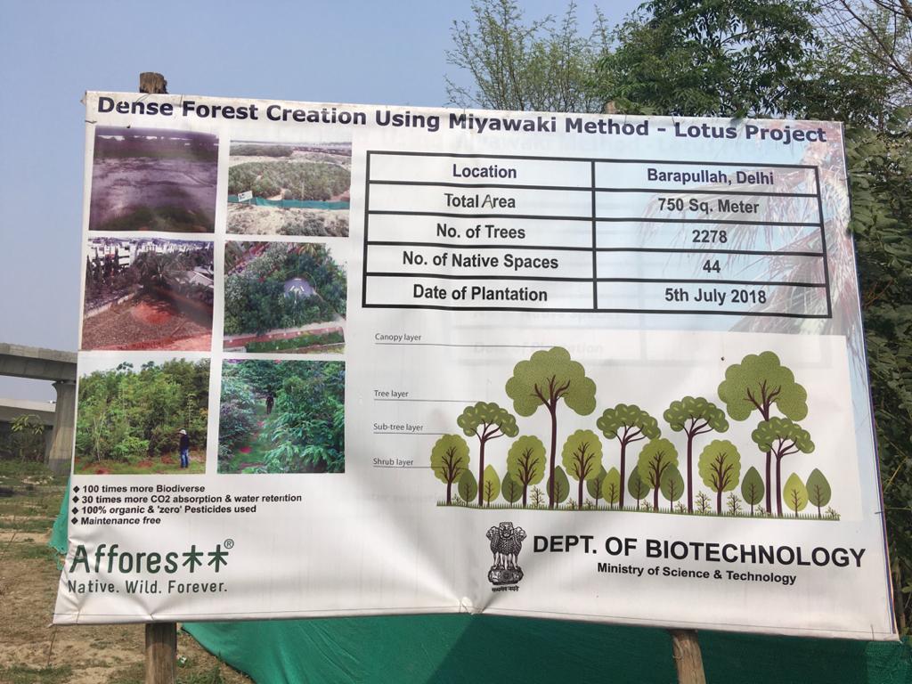 Natureourexist1's tweet photo. Visited Yamuna bank to understand the #Miyawaki method of farming done by #Afforest
#natureourexistence https://t.co/j6EYMvAjvK