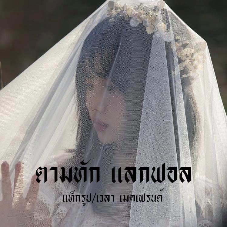 ทิเบีย'มาแล้วค่ะ tweet media