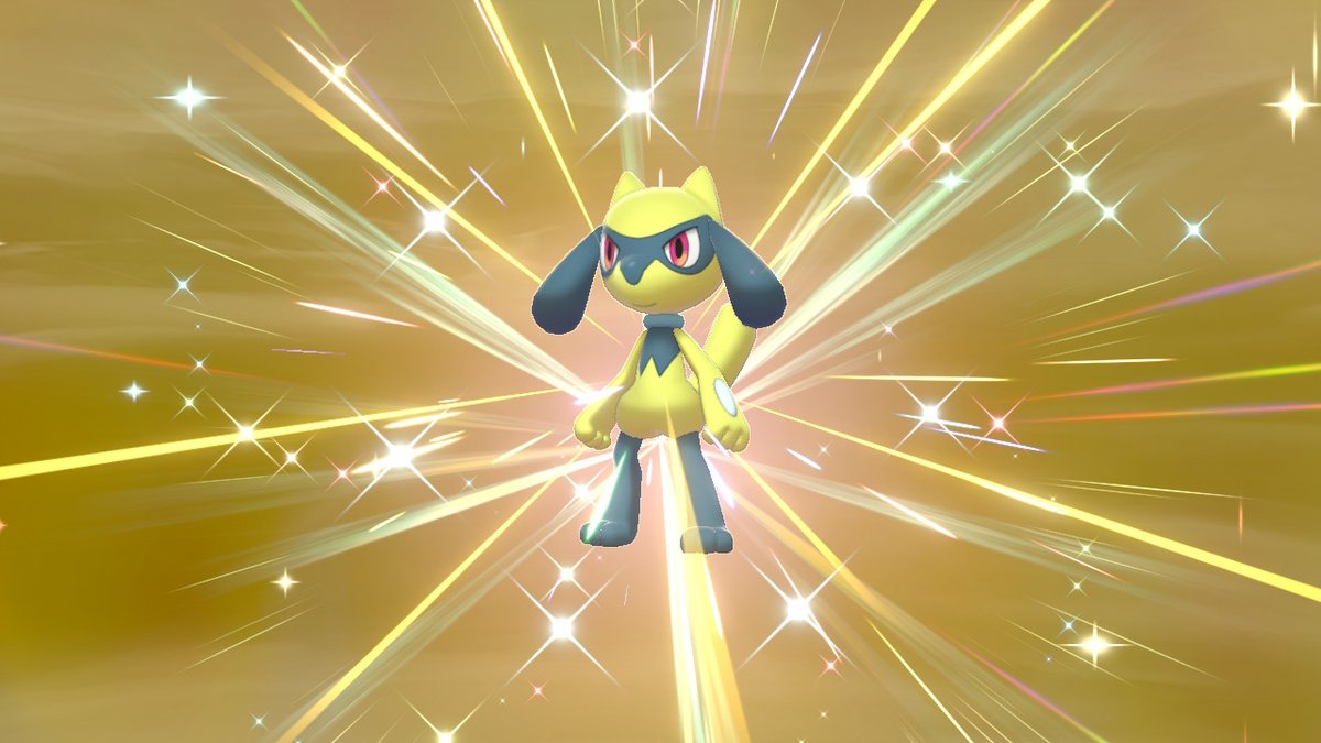 シオリ 国際孵化563個目で 色違いリオル光りました この35個目にもう1匹 めちゃくちゃラッキーでした キャンプのリオル可愛いです ポケモン剣盾 Nintendoswitch 色違い