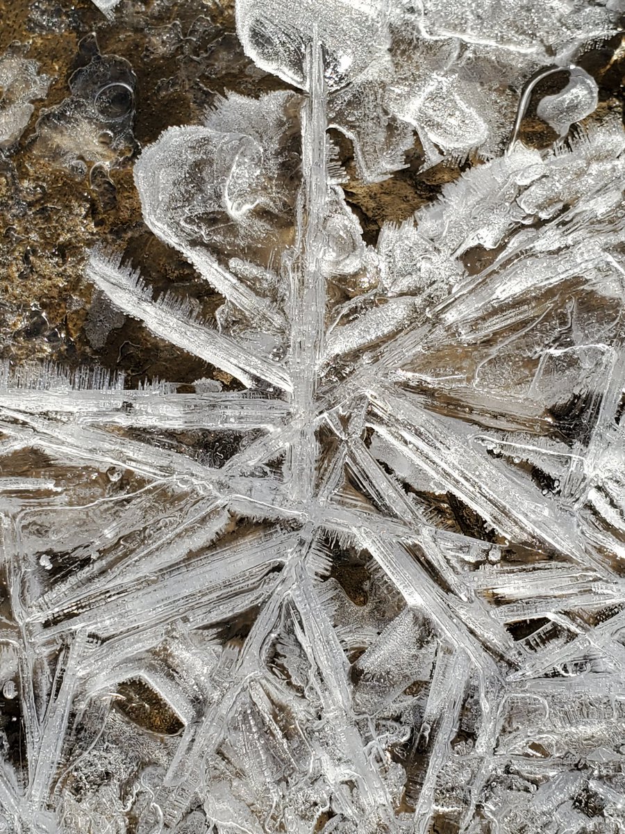 TingleYou's tweet photo. Sunday morning worship with nature! #worshipwithnature #alleghenyriver #ice https://t.co/KnoIjZZZYc