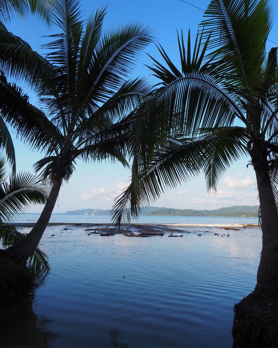 Carnetssacados's tweet photo. #COSTARICA 📍#BahiaDrake
Le soleil se couche doucement sur Bahia Drake et annonce la fin d’une belle journée. J’ai vraiment beaucoup aimé me balader sur les sentiers du village entre forêt luxuriante et mer. https://t.co/wyp6MAfqVy
