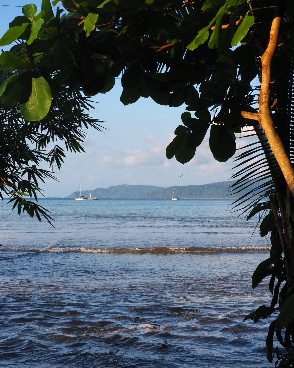 Carnetssacados's tweet photo. #COSTARICA 📍#BahiaDrake
Le soleil se couche doucement sur Bahia Drake et annonce la fin d’une belle journée. J’ai vraiment beaucoup aimé me balader sur les sentiers du village entre forêt luxuriante et mer. https://t.co/wyp6MAfqVy
