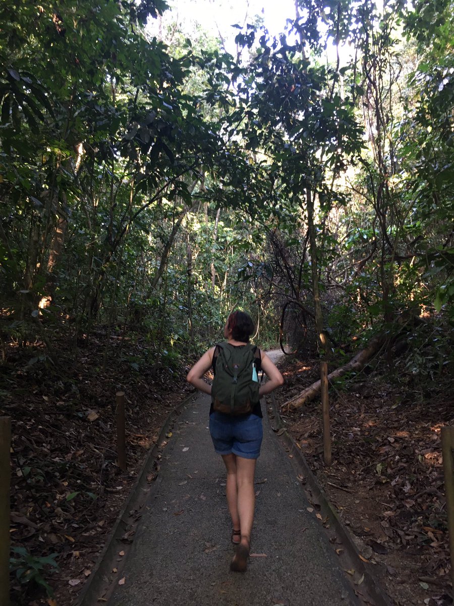 Carnetssacados's tweet photo. #COSTARICA 📍#BahiaDrake
Le soleil se couche doucement sur Bahia Drake et annonce la fin d’une belle journée. J’ai vraiment beaucoup aimé me balader sur les sentiers du village entre forêt luxuriante et mer. https://t.co/wyp6MAfqVy