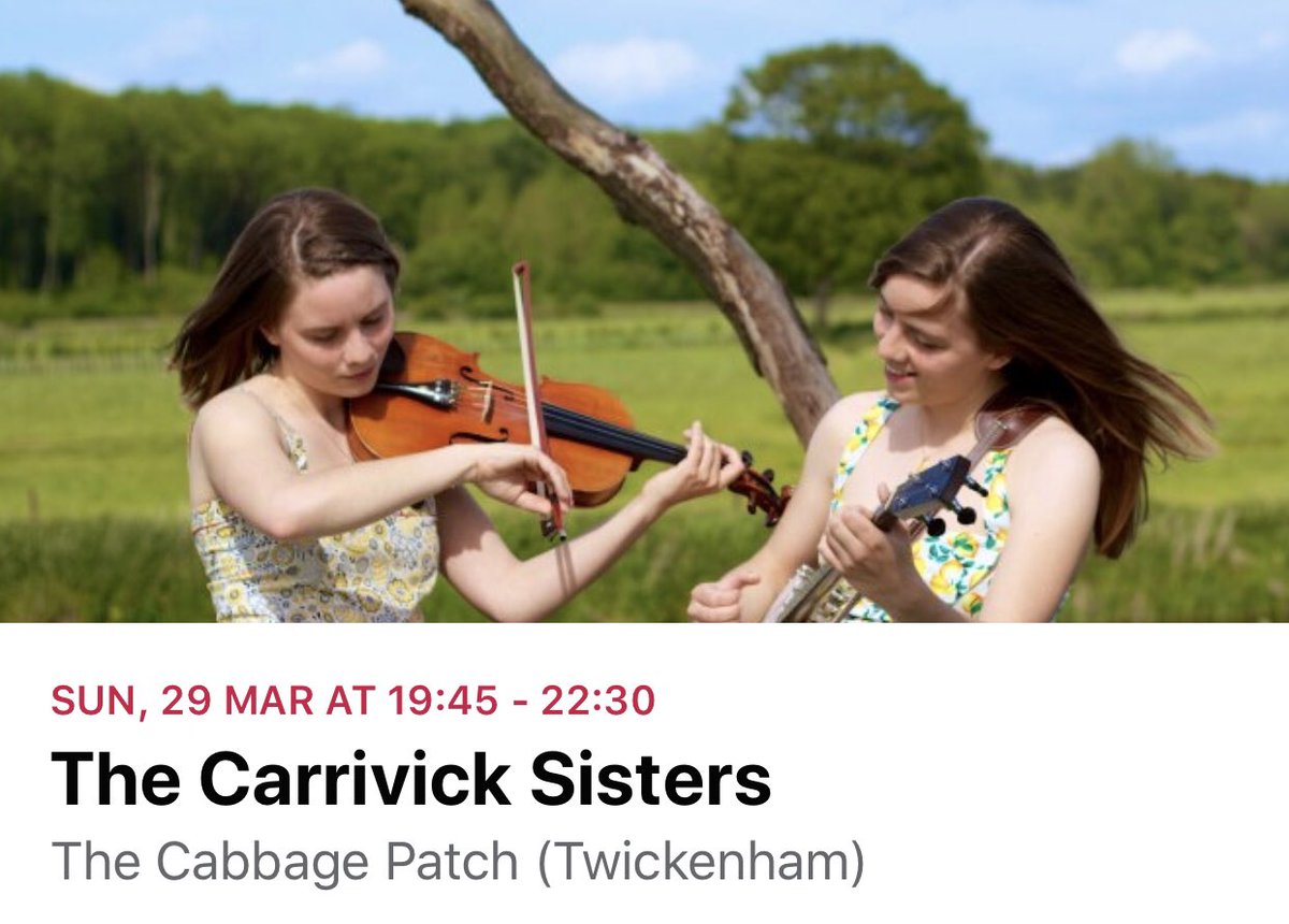 TwickFolk Twickenham tweet media