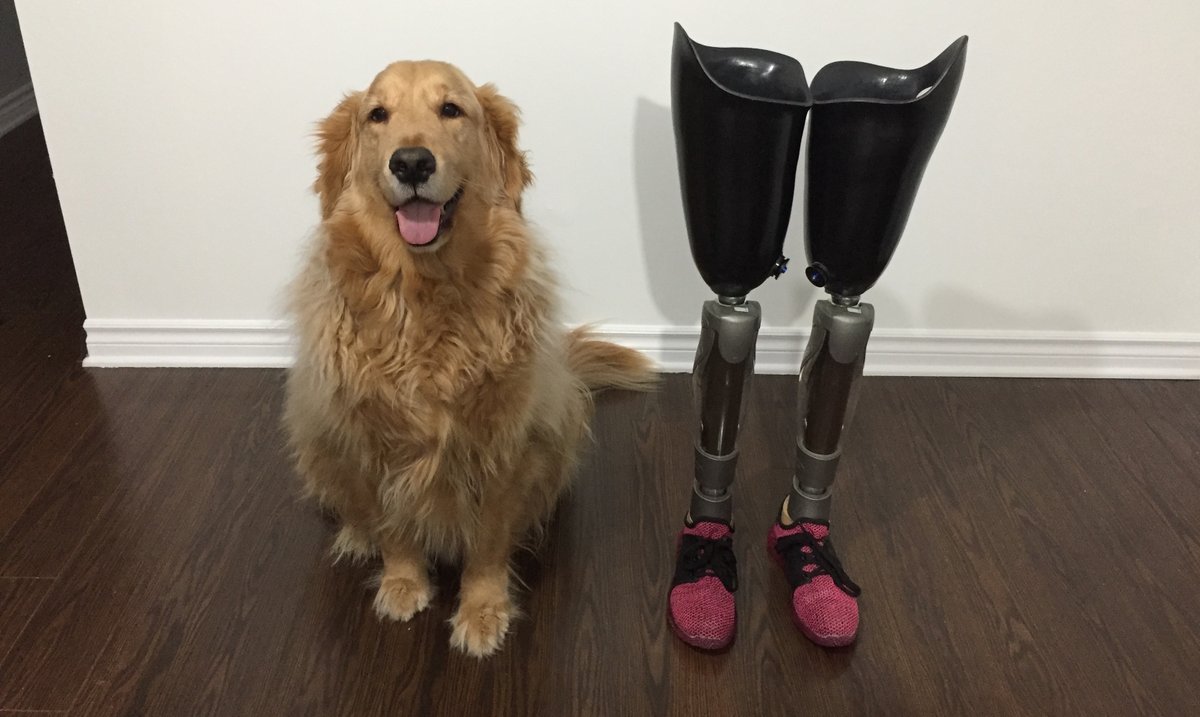 Sol_peintre's tweet photo. “Boris! Au pied!”... curieusement, ce n’est pas toujours à côté de moi qu’il revient! 😉 https://t.co/IqWN4ppexG
