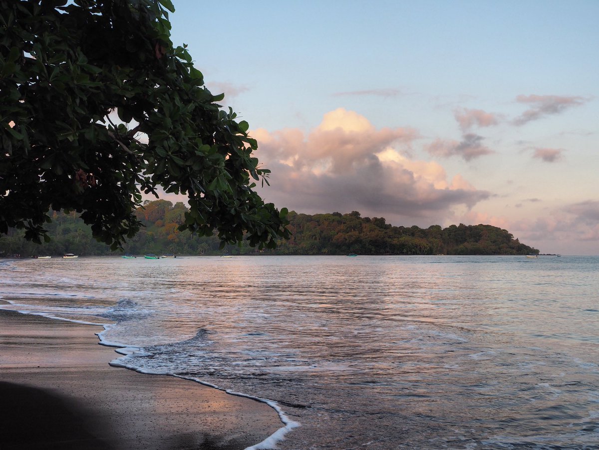 Carnetssacados's tweet photo. #COSTARICA 📍#BahiaDrake
Ce matin départ à 6h pour le #parc du #Corcovado. Il faut compter environ 1h de #navigation pour atteindre l’entrée et après quelques minutes de #bateau, rencontre inattendue avec un #dauphin. J’aurai la chance d’en voir deux autres au retour. https://t.co/splmr1ZR4a