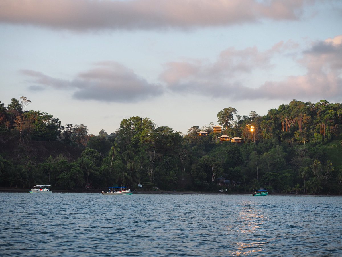 Carnetssacados's tweet photo. #COSTARICA 📍#BahiaDrake
Ce matin départ à 6h pour le #parc du #Corcovado. Il faut compter environ 1h de #navigation pour atteindre l’entrée et après quelques minutes de #bateau, rencontre inattendue avec un #dauphin. J’aurai la chance d’en voir deux autres au retour. https://t.co/splmr1ZR4a