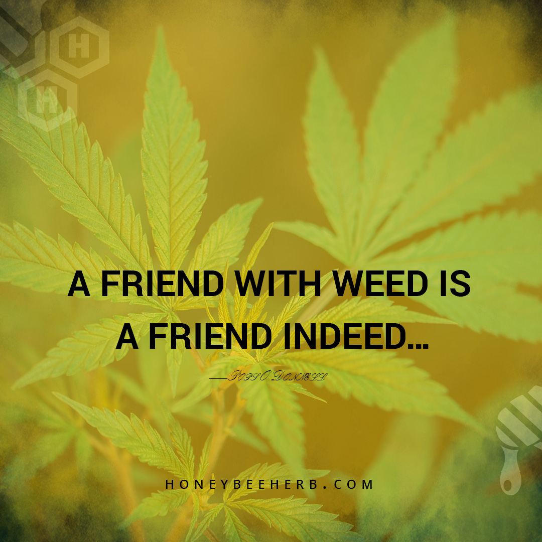 Honeybee_Herb's tweet photo. A friend with weed is a friend indeed… —Pops O’Donnell

#honeybeeherb #cannabis #quartzbanger #headshop #vapeshop #bongs #marijuana #instamarijuana #cbd #enail #dabs #dabsrus #herb #herbalism #highlife #hightimes #maryjane #banger #headyglass #quartz #smokingpipe #weed #smoke https://t.co/RNPOGGRCfZ