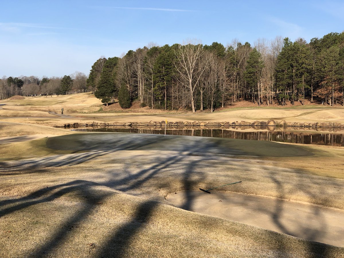 Man, frost is lifting, but it is cool to see how the far off trees affect frost,