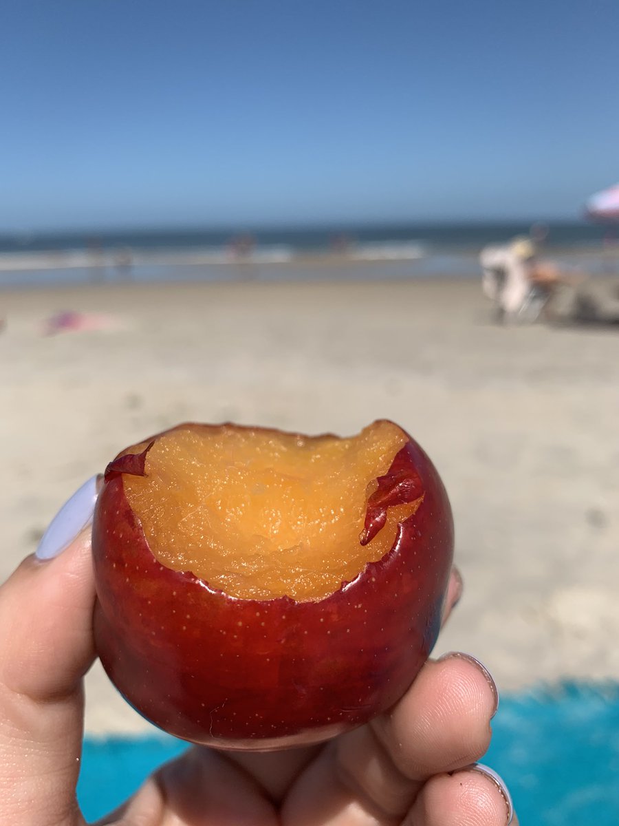 veromasi's tweet photo. Existe algo mejor que comer frutas en la playa? 😍 https://t.co/RKeyMNUwXd