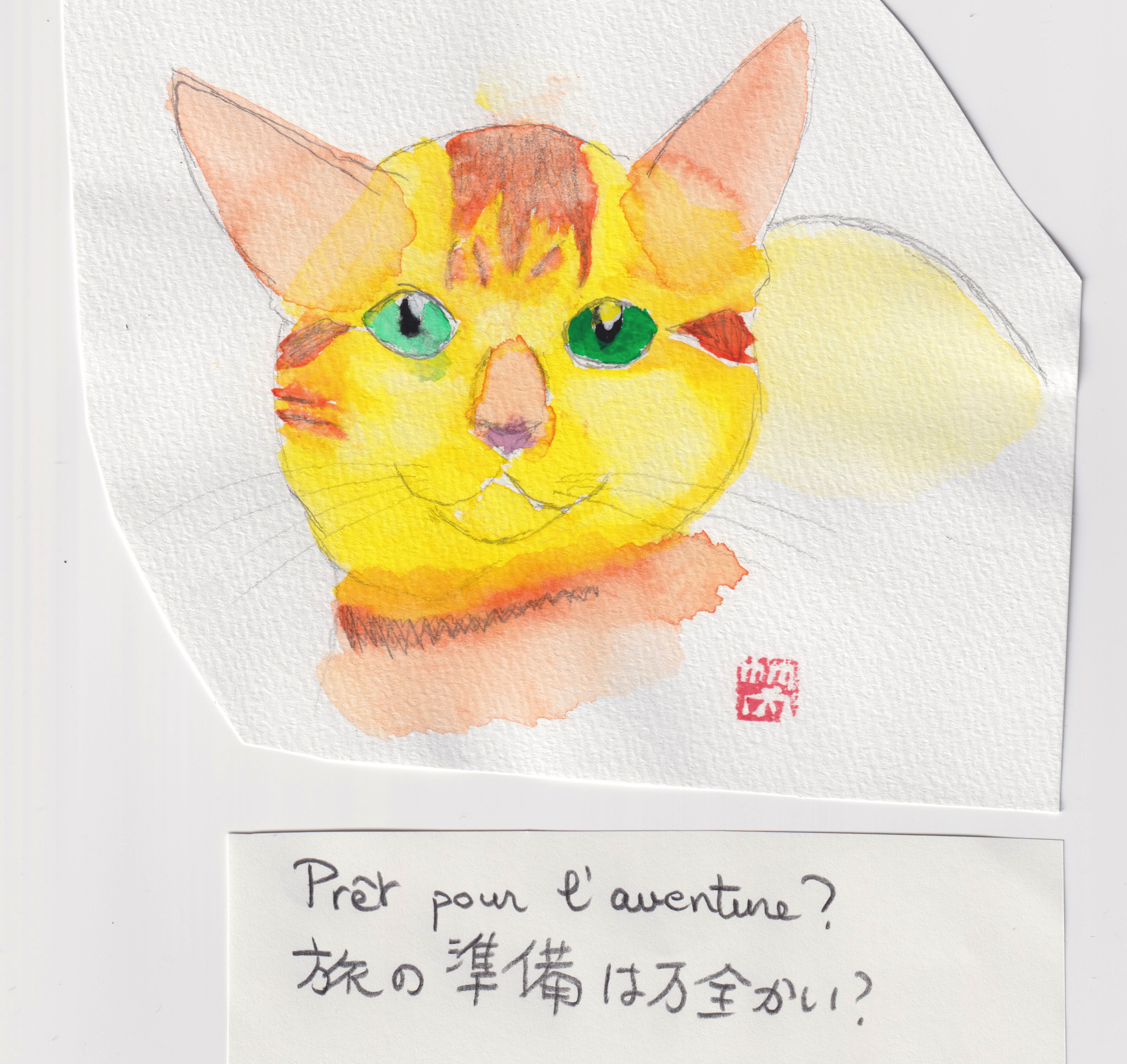 Plume Cats 猫のいる暮らし ねこの日 Gato すいさいに染まる 水彩イラスト 水彩 Aquarelle Watercolor Vida 人生案内 絵かける イラスト好きと繋がりたい イラスト練習 イラストレーター イラスト初心者 Dibujo かわいい動物 Animal