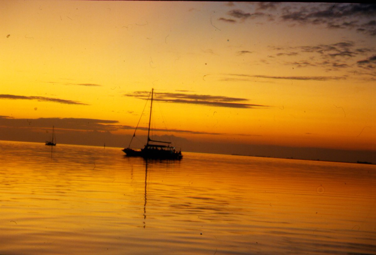 #Cubanita: #Crociera in #Catamarano e visita a l’#Avana a #Febbraio… avventura, esperienze, divertimento in una bella #Vacanza ai #Caraibi ULTIMI POSTI AFFRETTATEVI A PRENOTARE! info grandiorizzonti.com/it/viaggi/cuba…