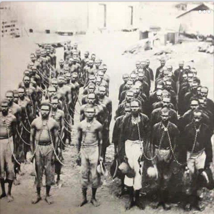 Mosheki Daniel tweet media