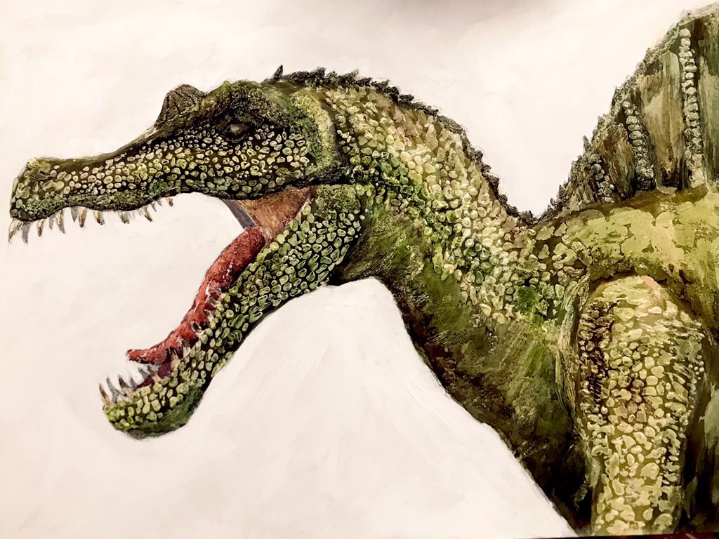 𝑖𝑘𝑜𝑘𝑜𝑛𝑜𝑓𝑢 在 Twitter 上 アナログイラスト イラスト かっこいい 恐竜イラスト 恐竜 スピノサウルス スピノサウルス描きまぁした T Co X3ucy5lrsu T Co Jcjtqoatsr Twitter