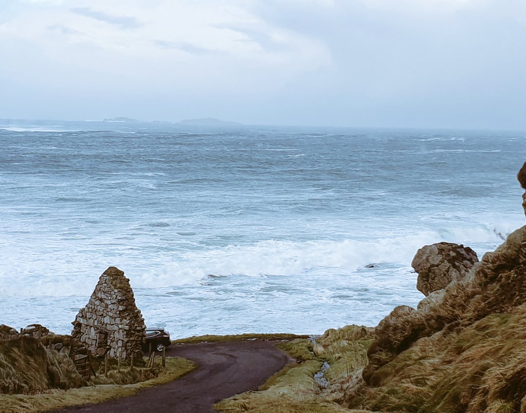 geraldine timlin tweet media